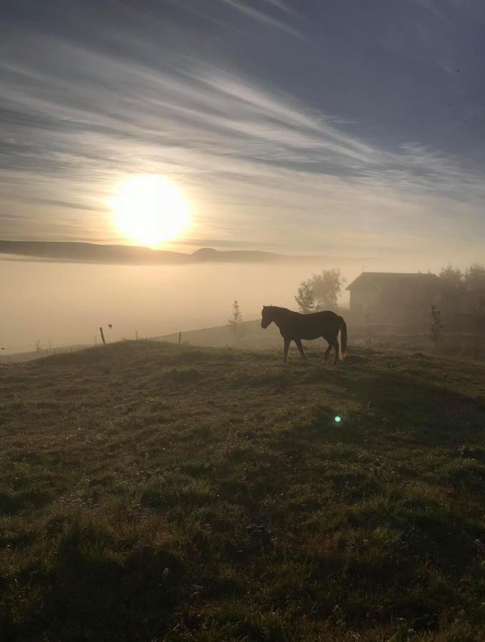 Armuli Villa Reynistadur Exteriör bild